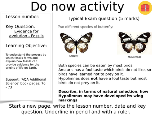 Lesson and resources on fossils AQA GCSE