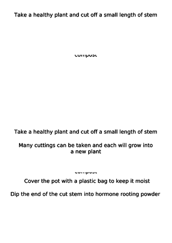 Lesson and resources on cloning AQA GCSE