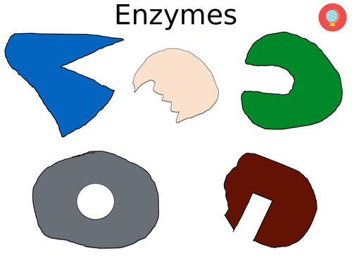 Lesson and resources on enzymes AQA GCSE