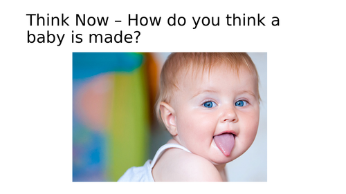 IVF Debate and Discussion Lesson (planned for Ofsted)