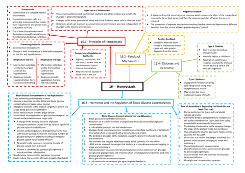 Homeostasis Revision Mind Map Aqa As A Level Biology 7401 7402 Teaching Resources