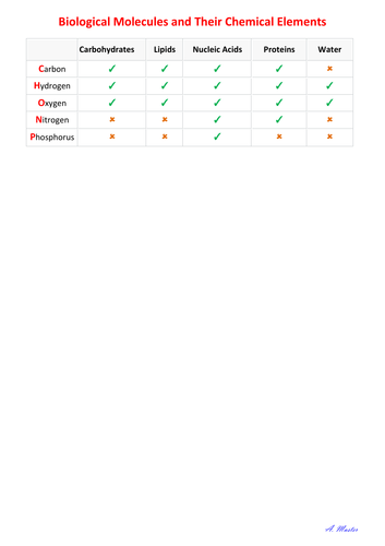 Biological Molecules and Their Elements