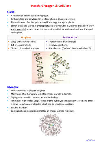 Starch, Glycogen and Cellulose