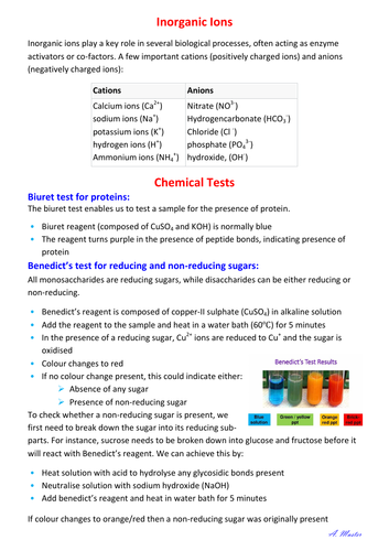 Inorganic Ions and Chemical Tests