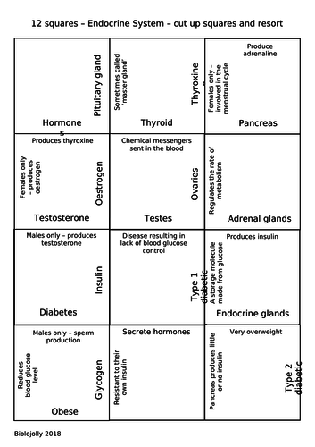 Endocrine System - cut and resort 12 squares