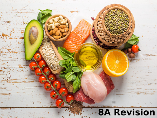 Exploring Science 8A Revision Lesson