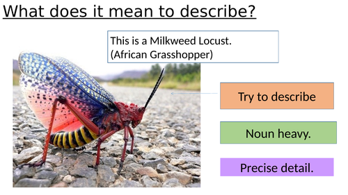 Descriptive writing lesson for all ability students with differentiation tasks for EAL students