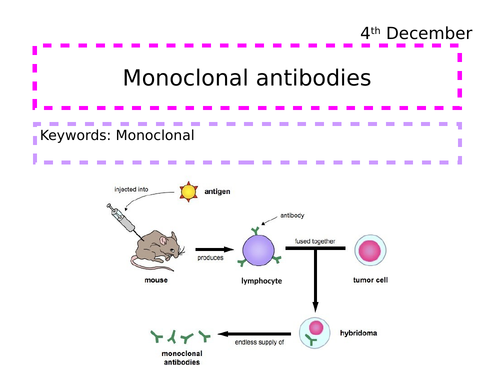 monoclonal antibodies GCSE 9-1