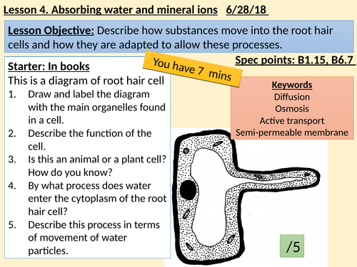 Edexcel 9-1 Biology - Absorbing water and mineral ions