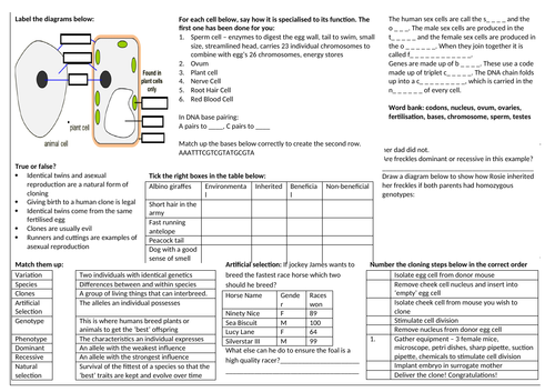 KS3 inheritance and Selection Revision Sheet