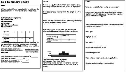 SB9 Revision Summary Sheet