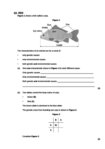 Variation 9-1 AQA