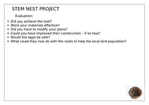 Birds Nest STEM project KS2