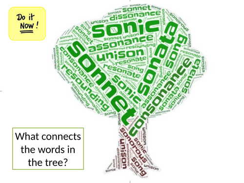 KS3 Sonnets 2 to 3 Weeks