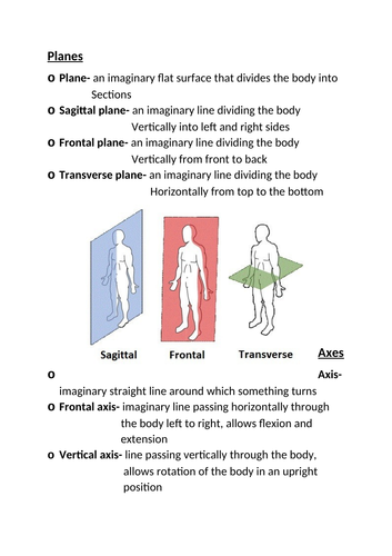 Edexcel GCSE PE planes and axis notes