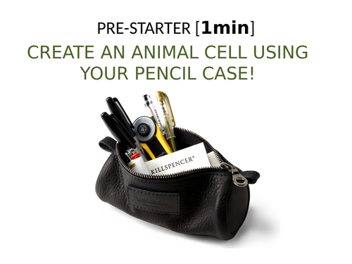 2018 AQA GCSE Biology Unit 1 (B1): Animal and Plant Cells L1