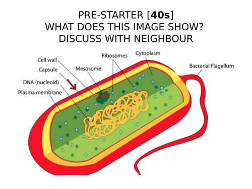2018 AQA GCSE Biology Unit 1 (B1): Eukaryotic and Prokaryotic Cells L2