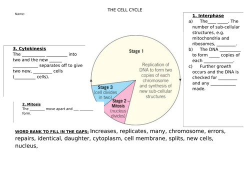 2018 AQA GCSE Biology Unit 1 (B1): Mitosis and the Cell Cycle L4