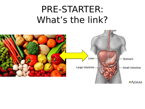 2018 AQA GCSE Biology Unit 1 (B1): Enzymes L9