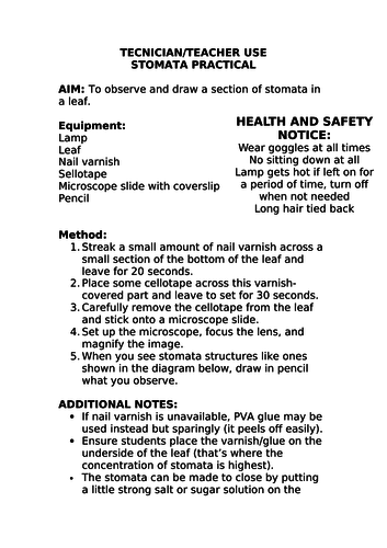 2018 AQA GCSE Biology Unit 1 (B1): Transport in Plants Part 2 L19