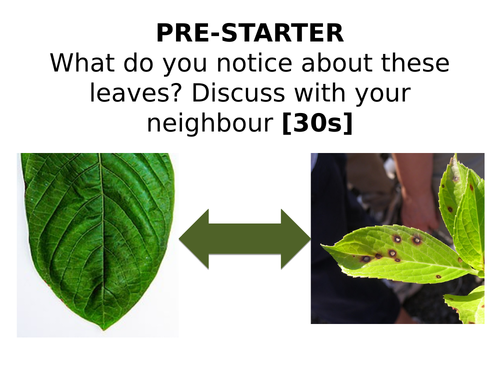 2018 AQA GCSE Biology Unit 1 (B1): Plant Disease L27