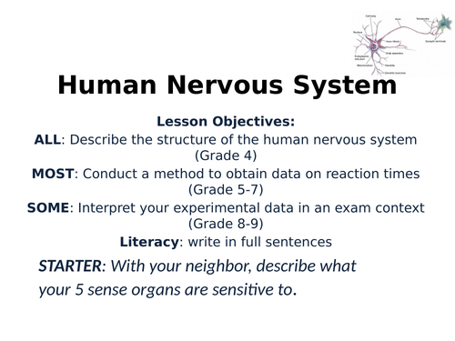2018 AQA GCSE Biology Unit 2 (B2): Nervous System Part 1 L2