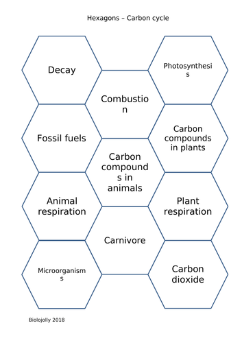 Carbon cycle - SOLO Hexagons