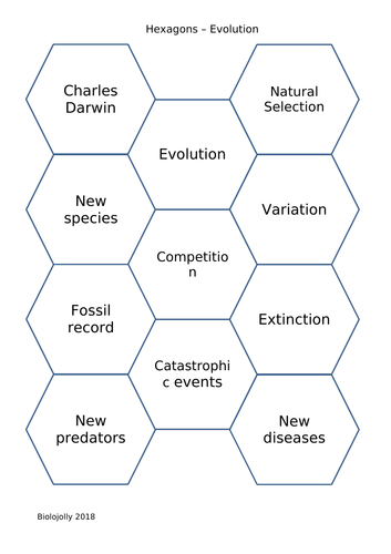 Evolution - SOLO Hexagons