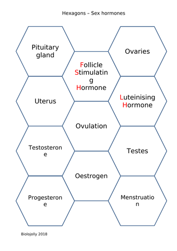 Sex Hormones Solo Hexagons Teaching Resources 8413