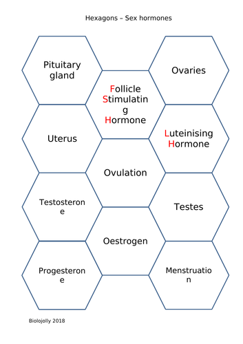 Sex hormones - SOLO Hexagons