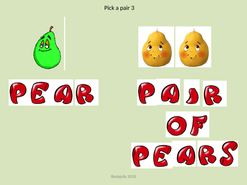 Pick-a-pair 3 literacy starter/plenary