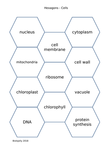 Cells - SOLO Hexagons