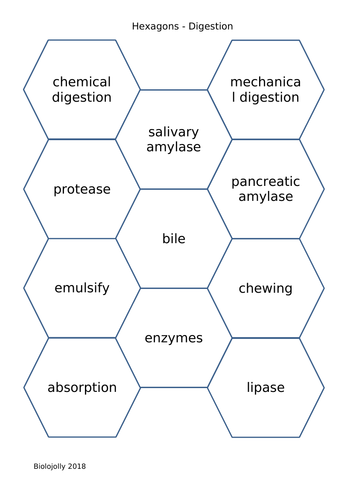 Digestion - SOLO Hexagons