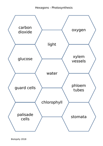 Photosynthesis - SOLO Hexagons