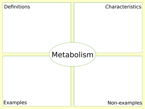 Frayer model slide