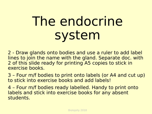 Endocrine system diagrams