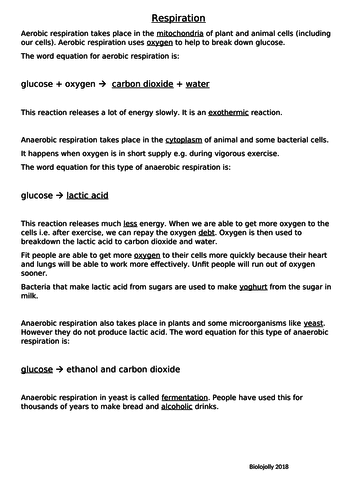Respiration - differentiated worksheets