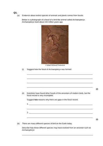 Fossils & Extinction 9-1 AQA