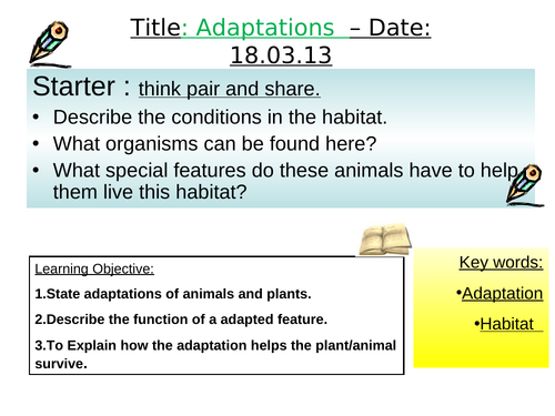 KS3 adaptation outstanding lesson