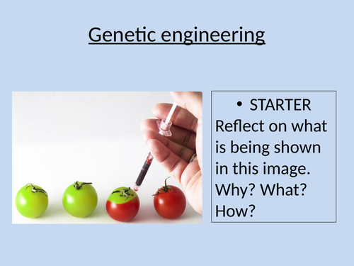Genetic engineering 9-1 AQA