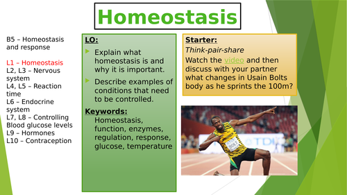 B5 Homeostasis AQA 9-1 - Lesson 1