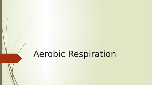 B4 - Aerobic and anaerobic respiration - AQA 9-1