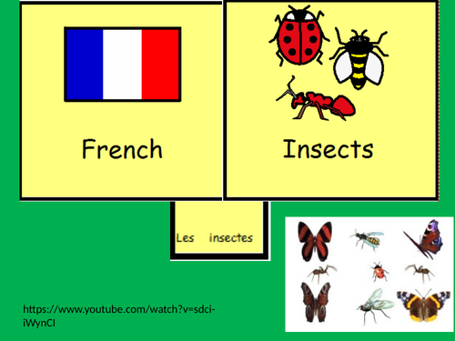 French Insects
