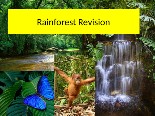 Rainforests revision y11