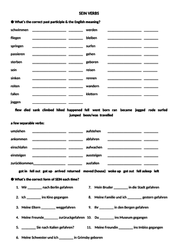 Sein verbs in German