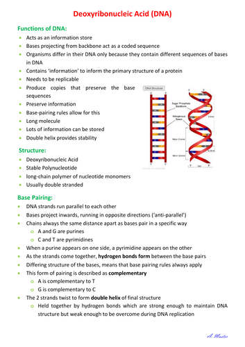 Deoxyribonucleic Acid (DNA) | Teaching Resources