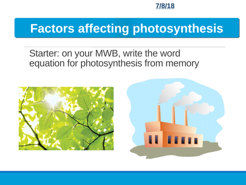 Plant limiting factors