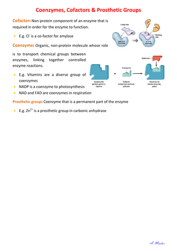 Co-enzymes, Co-factors & Prosthetic Groups