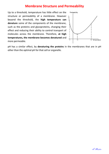 Membrane Structure and Permeability