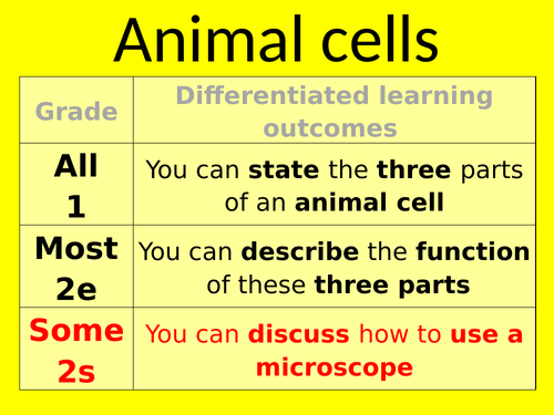 Animal and plant cells - colour coding the different parts